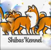 Shibas Kennel